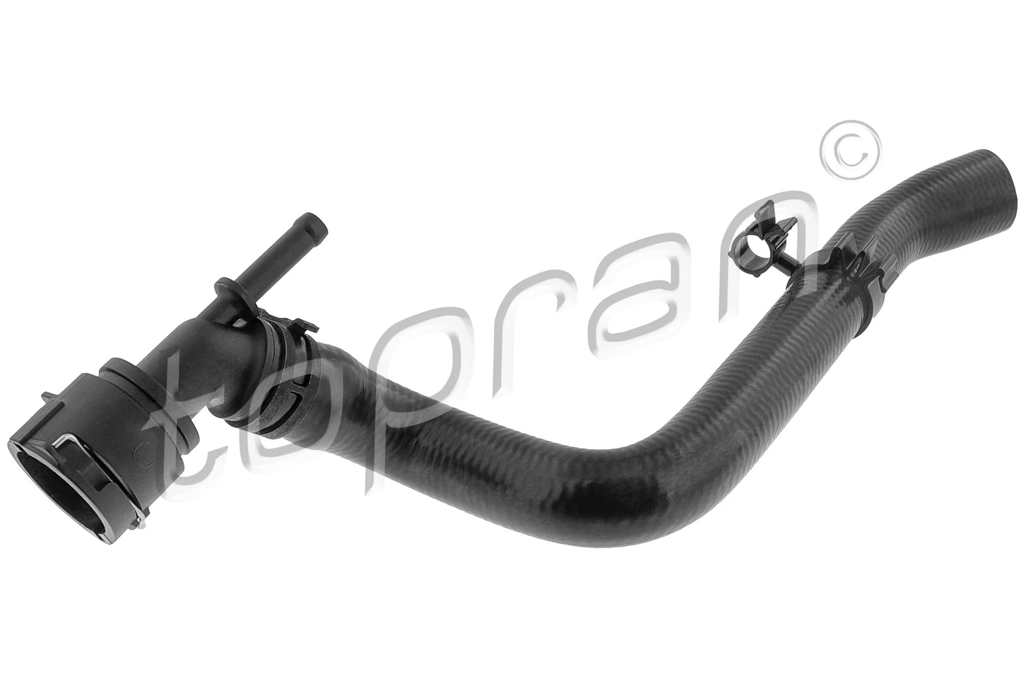 Radiator Hose