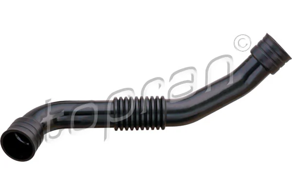 Hose, cylinder head cover ventilation