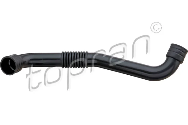 Hose, cylinder head cover ventilation