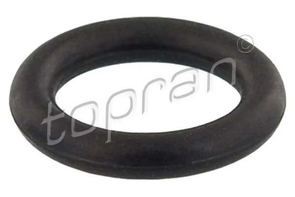 Seal Ring, injector