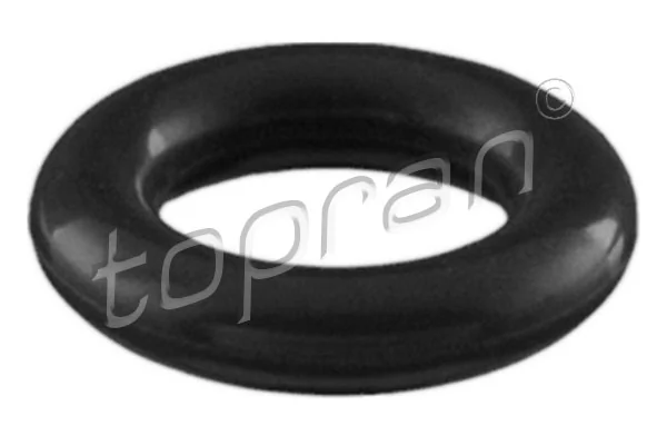 Seal Ring, injector