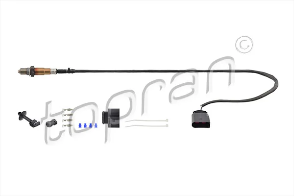 Oxygen Sensor
