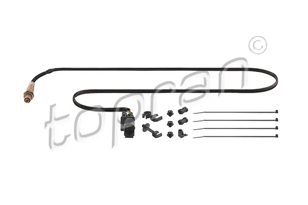 Oxygen Sensor