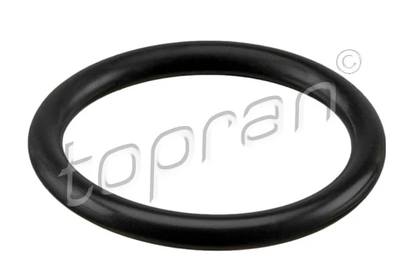 Seal Ring, coolant pipe