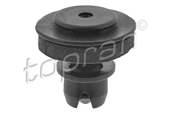 Retaining Clip, door panel