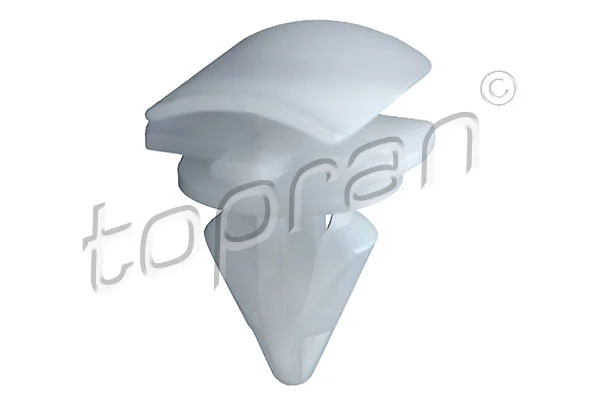Clip, trim/protection strip
