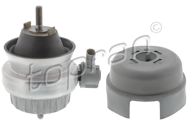 Mounting, engine
