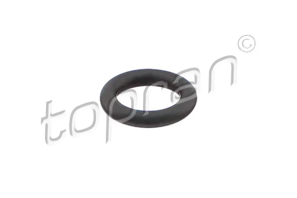 Seal Ring, injector