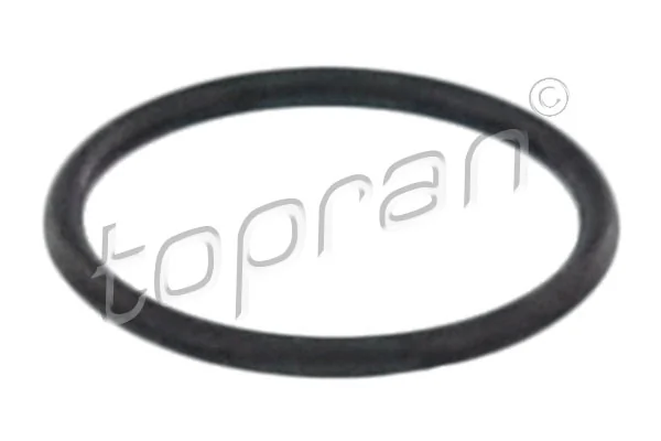 Seal Ring, injector