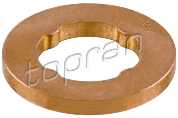 Seal Ring, injector