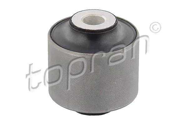 Mounting, control/trailing arm