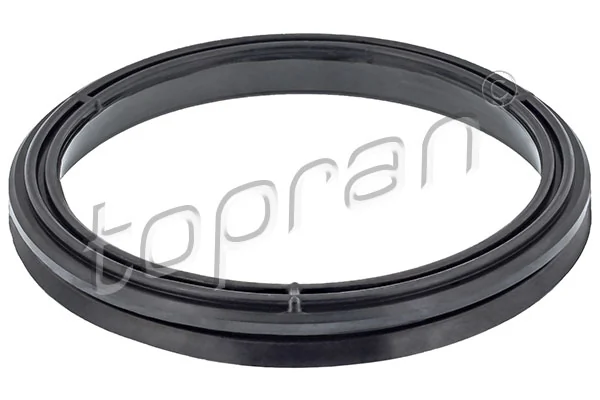 Gasket, timing case