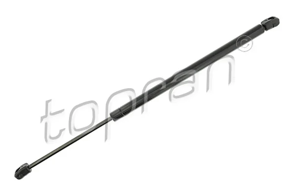 Gas Spring, boot/cargo area