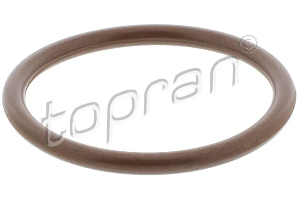 Seal Ring, charge air hose