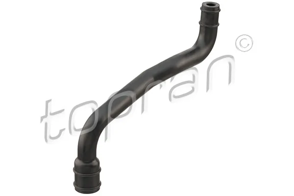 Hose, cylinder head cover ventilation