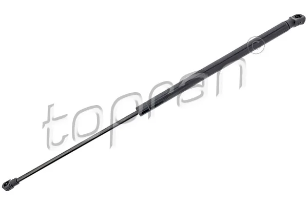 Gas Spring, boot/cargo area
