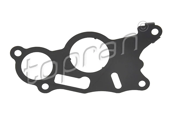 Gasket, vacuum pump