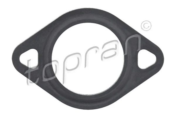 Gasket, EGR valve