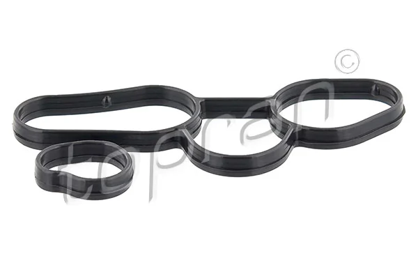 Gasket, oil cooler