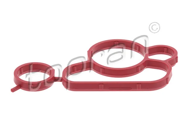 Gasket, oil filter housing