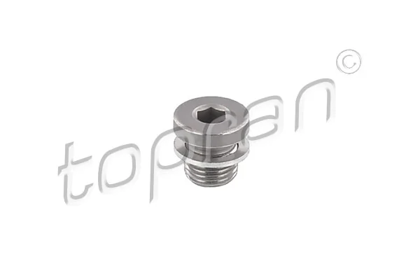 Screw Plug, automatic transmission casing