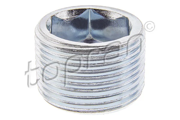 Screw Plug, automatic transmission casing