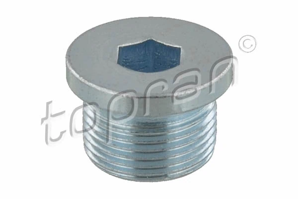 Screw Plug, automatic transmission casing