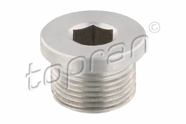 Screw Plug, automatic transmission casing