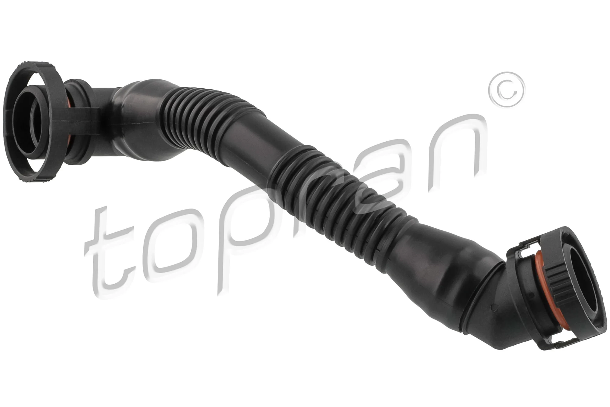 Hose, cylinder head cover ventilation