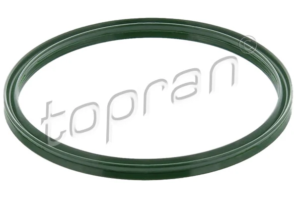 Seal Ring, charge air hose
