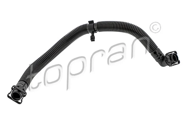 Hose, crankcase ventilation