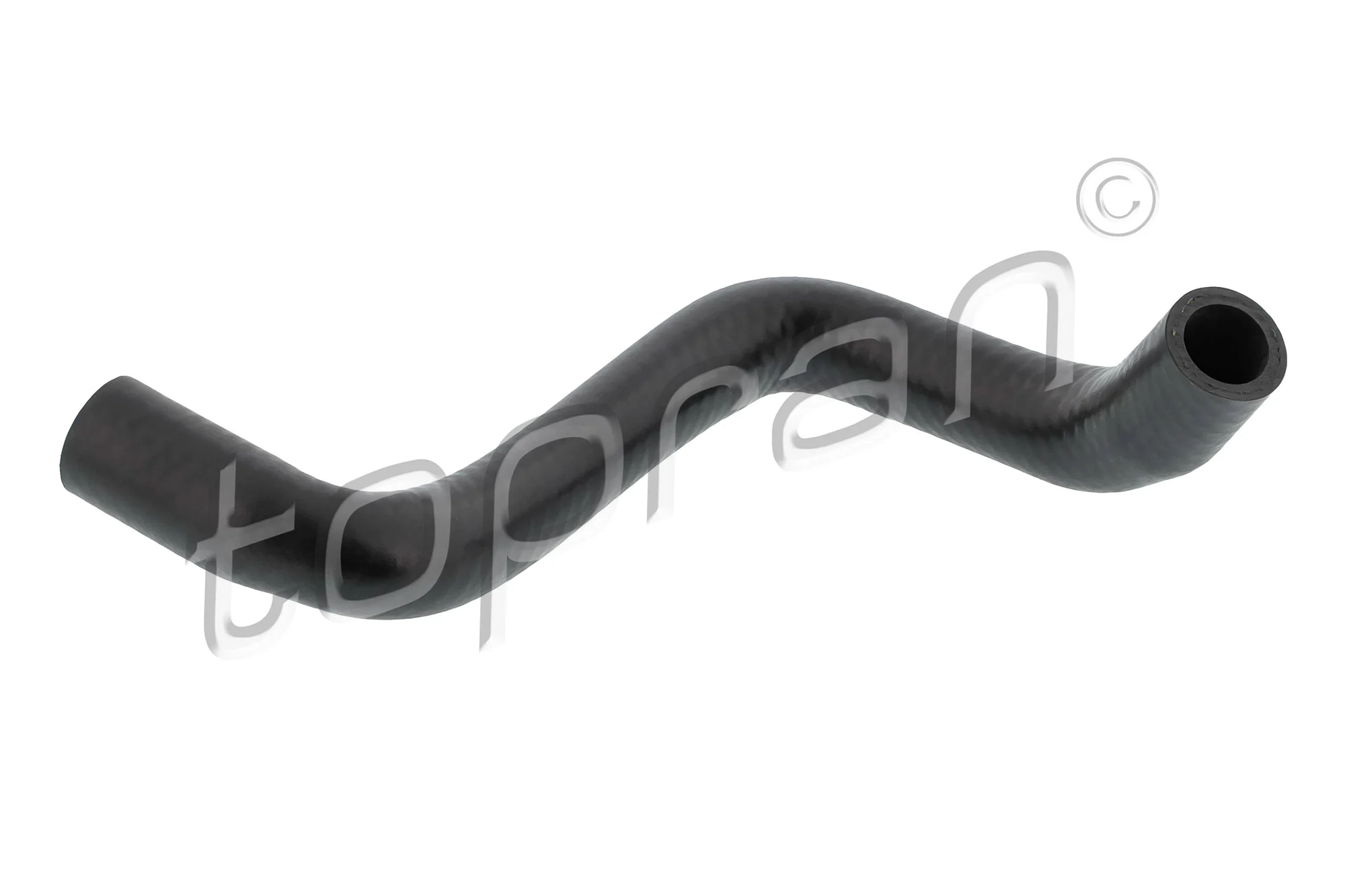 Radiator Hose