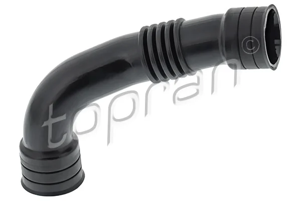 Hose, cylinder head cover ventilation