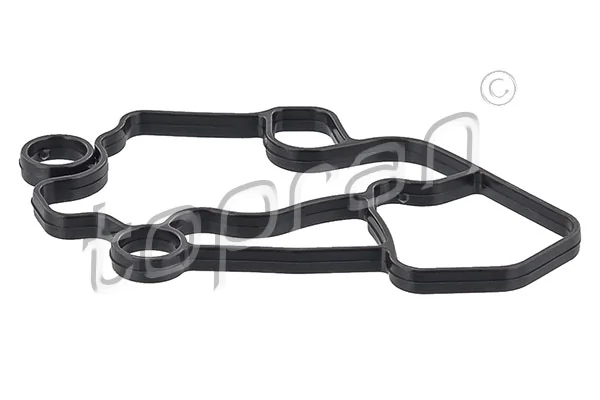 Gasket, oil filter housing