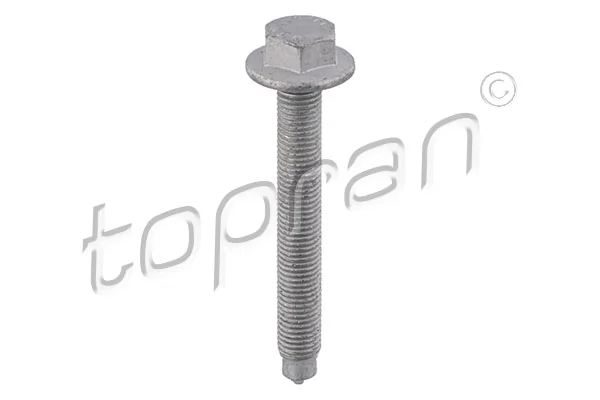 Screw
