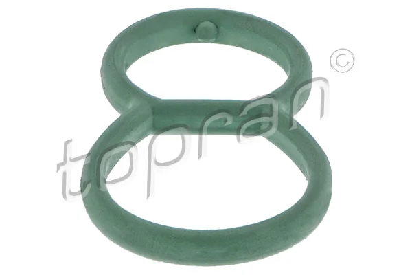 Gasket, vacuum pump