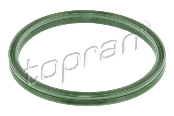 Seal Ring, charge air hose