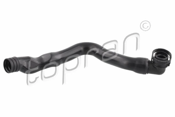 Hose, cylinder head cover ventilation