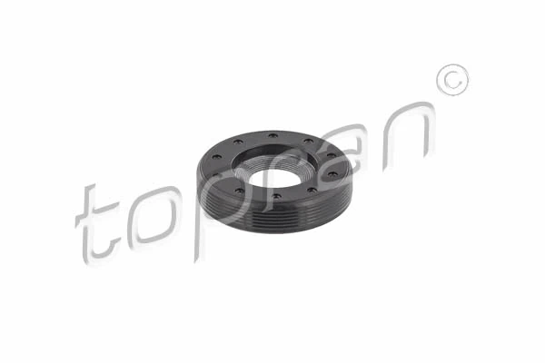 Shaft Seal, intermediate shaft