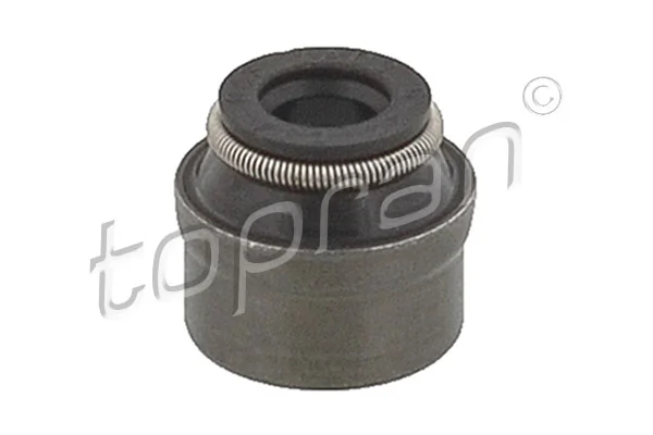 Seal Ring, valve stem