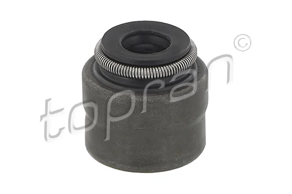 Seal Ring, valve stem