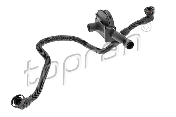 Hose, cylinder head cover ventilation