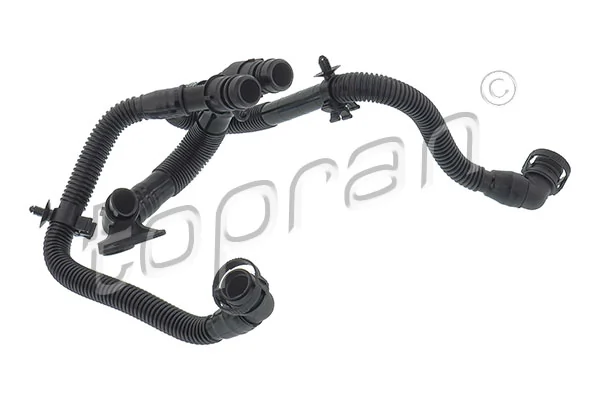 Hose, crankcase ventilation
