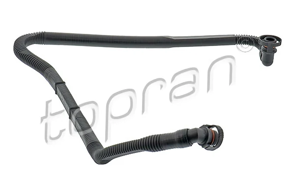 Hose, cylinder head cover ventilation