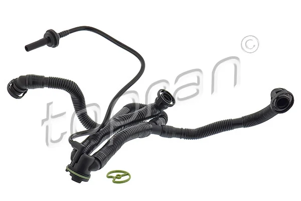 Hose, crankcase ventilation
