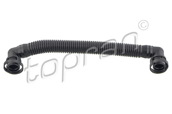 Hose, cylinder head cover ventilation