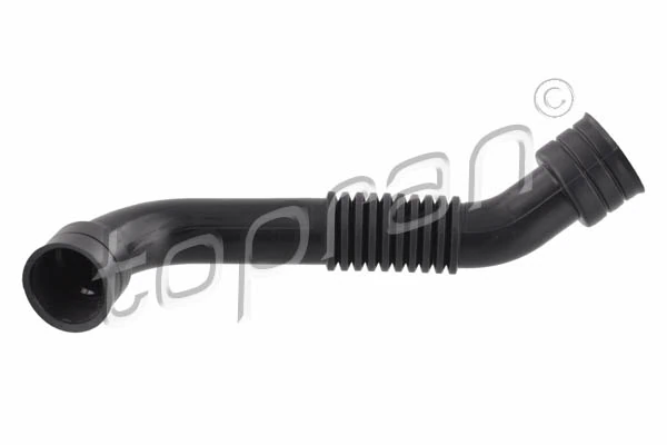 Hose, cylinder head cover ventilation