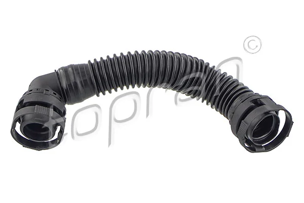 Hose, cylinder head cover ventilation