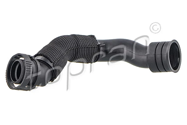Hose, cylinder head cover ventilation