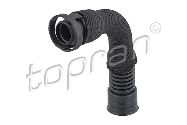 Hose, cylinder head cover ventilation